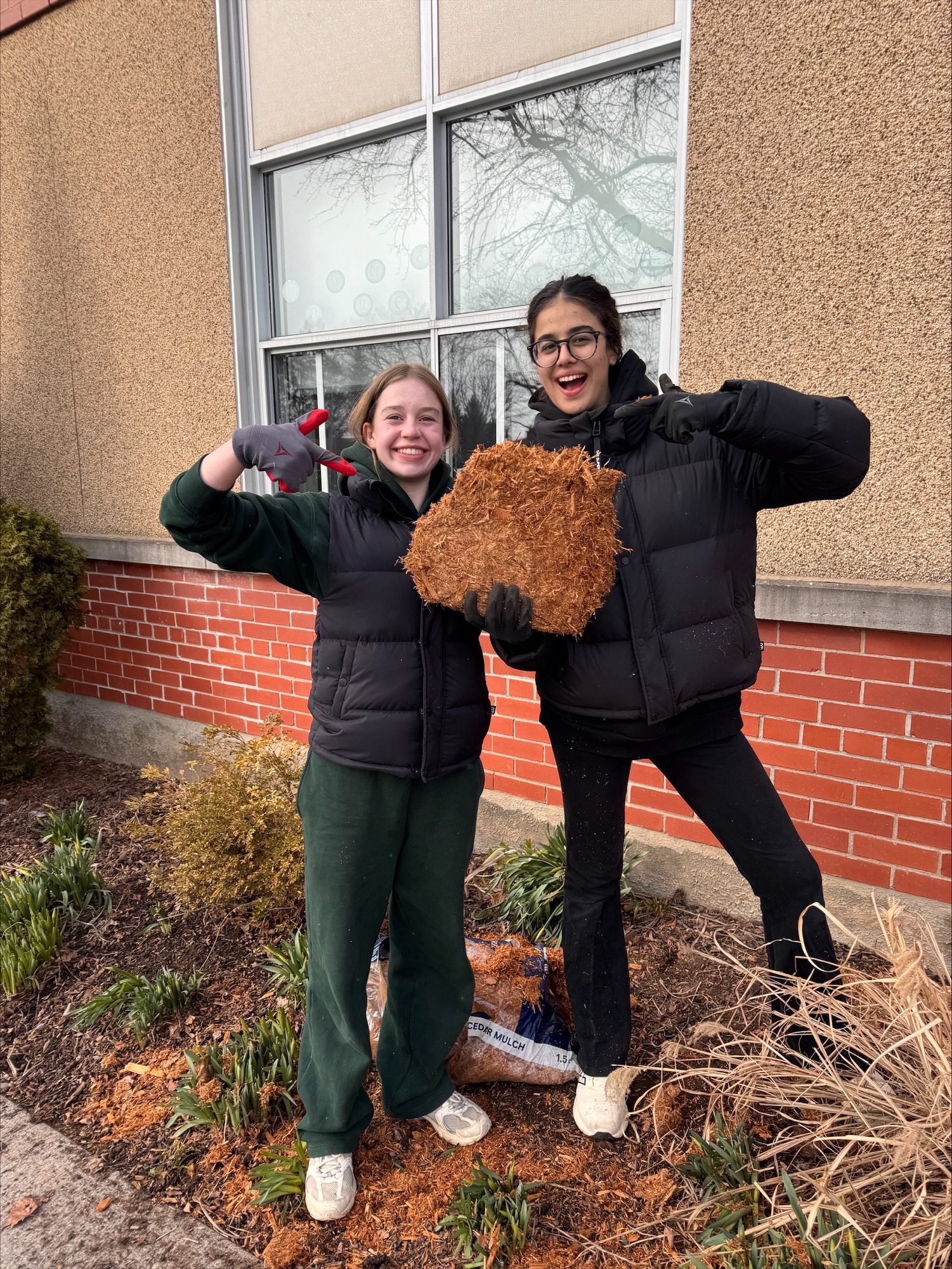 processed C4345093 F373 4287 9FB7 9B95117F6153